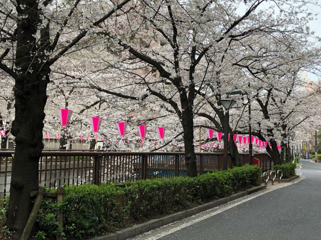 Wander Tokyo Shibuya Ξενοδοχείο Εξωτερικό φωτογραφία